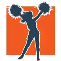 Раздел одежда для чирлидинга