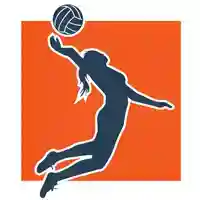 Раздел волейбольной формы